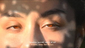 Anti 1.gif