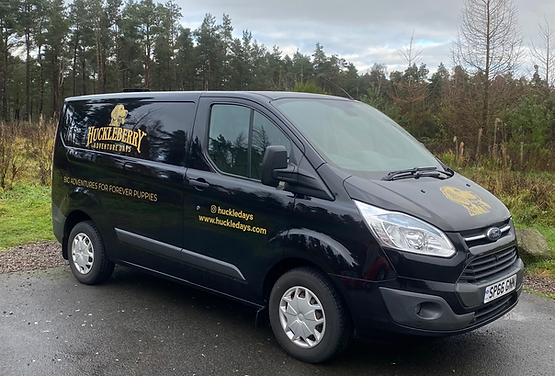 Doggy day care Edinburgh transport