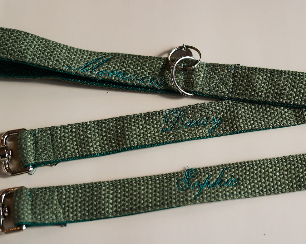 Thumbnail: dual leash for pets designed in house