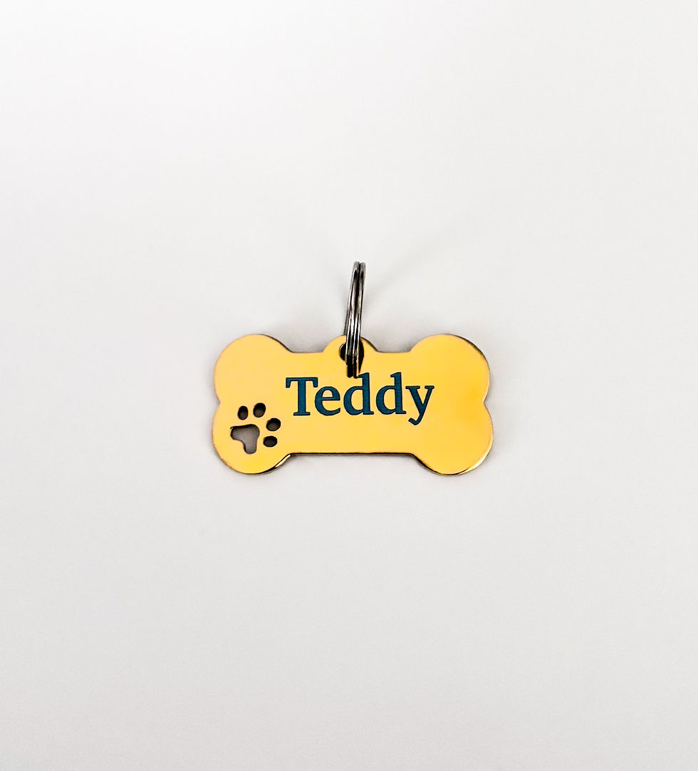 Gold Dog Tag With Name