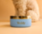 Personalized Pet Bowl Front View