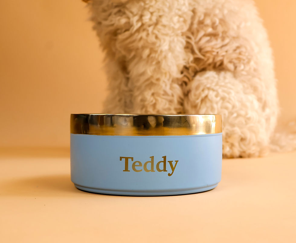 Personalized Pet Bowl Front View