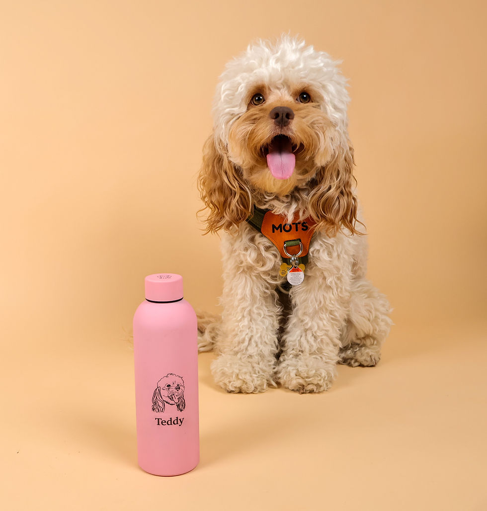 Thumbnail: custom water bottle with minimalist engraved design