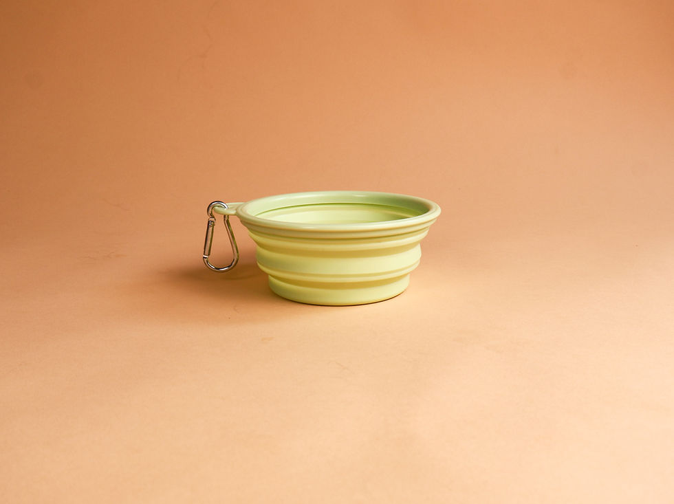 Personalized Portable Pet Bowl