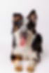 0K9A5749.jpg