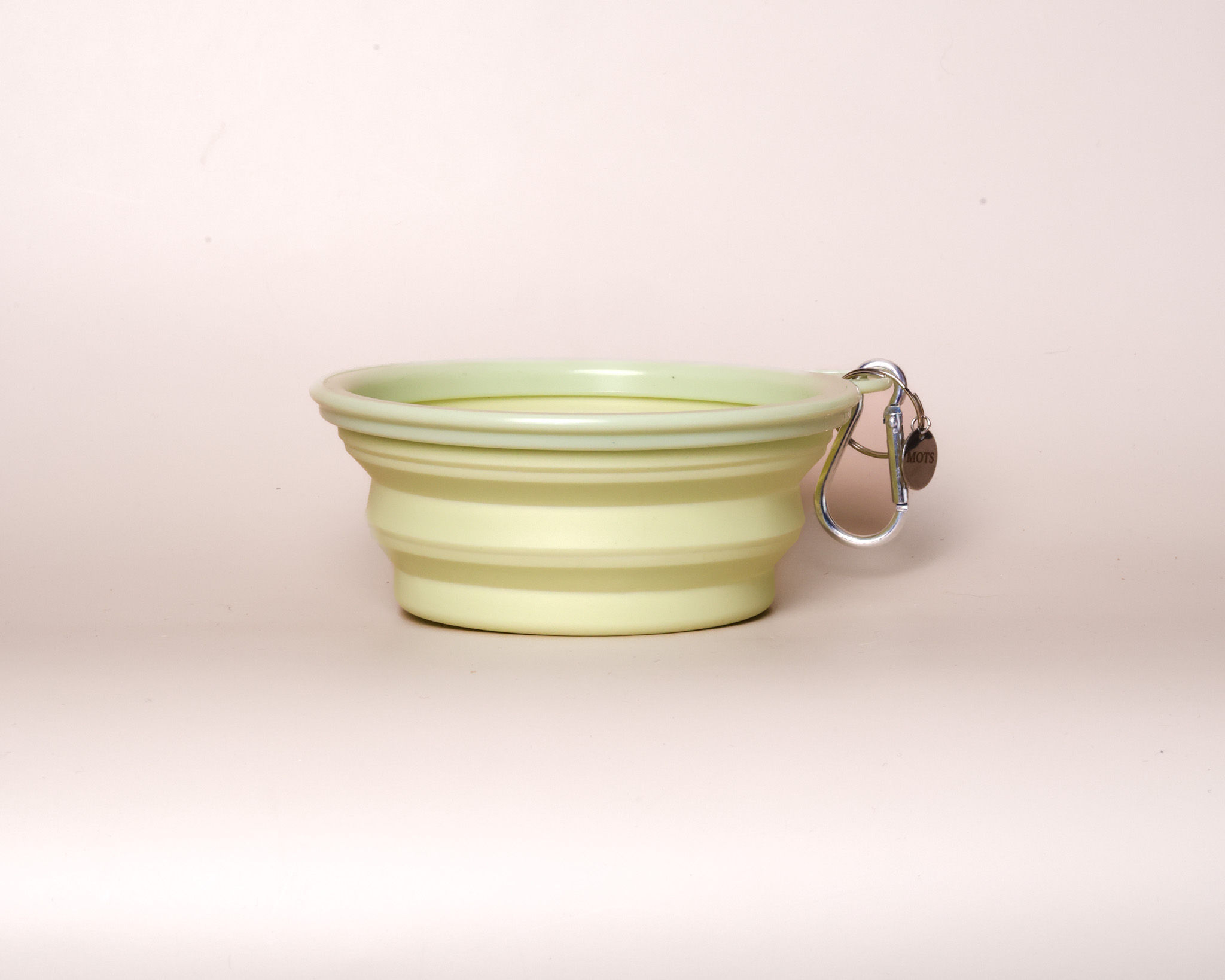 Portable Pet Bowl