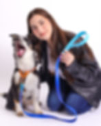 Dog wearing a Memoirs Bio royal blue leash during a studio photoshoot.