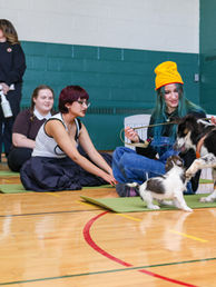 Participant gently petting a rescue puppy during a yoga break.
