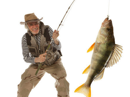 Big Fish promised, sardines delivered