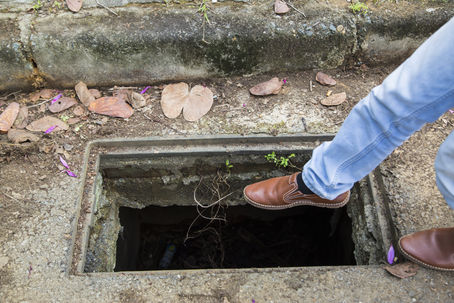 Wobbly pigeon ends up in wrong Hospital room
