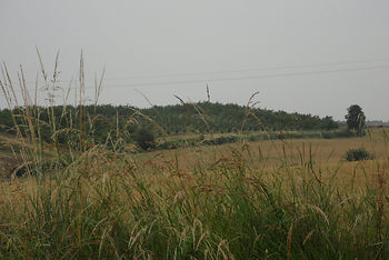 moulinet.JPG