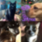 5B7164F0-43CD-46A7-A058-46C76040764F.jpeg
