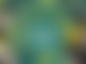 Impact Hub Switzerland: Circular Economy Transition Incubator