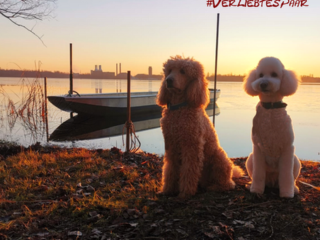 Fräulein Wolke und die Liebe