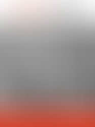 Wirtschaft(en) für das Leben