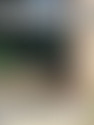 Not really lazy. Just very relaxed.