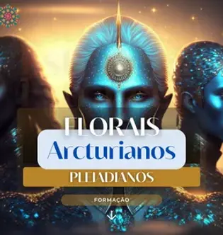 FLORAIS.webp