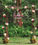 10 Darling Floral Arches for Your Wedding Ceremony