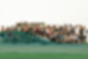 Volunteers-home-image_edited.jpg