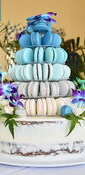 macaron 7.jpg