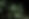 Blurry Lumières