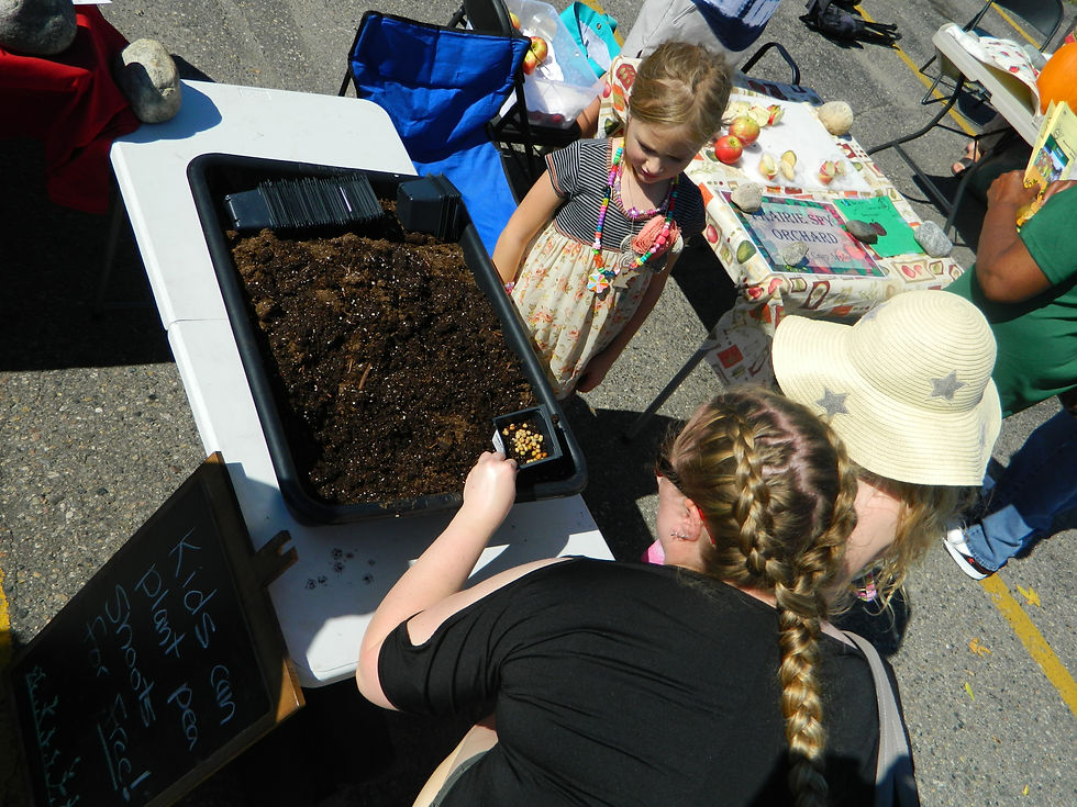 Plant your own seeds