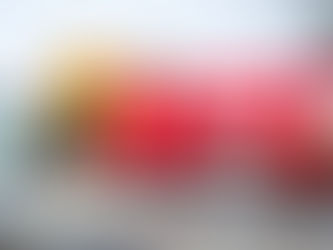 UFC inaugura “Tour das Letras”