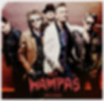 Les Wampas image groupe artiste