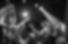 Toxic frogs photo site.PNG