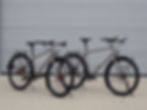 Nua Roure Rohloff ready for some real adventure cycling