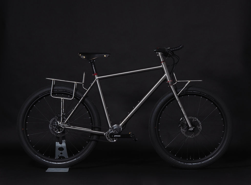 titanium bike, pinion gearbox, titanium frame, customa bike racks