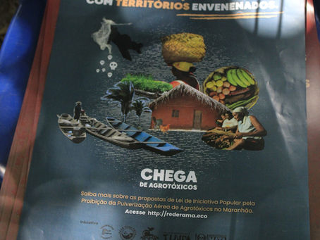 RAMA lança a campanha “Chega de Agrotóxicos” e a proposta de Lei de Iniciativa Popular contra a pulv
