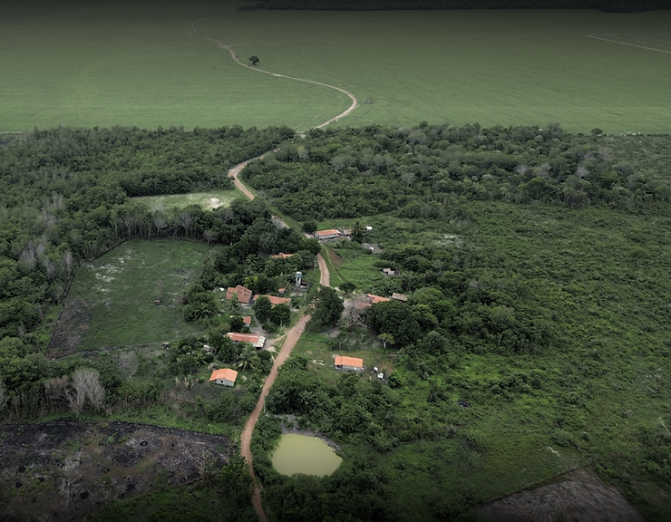 Foto aérea da comunidade tradicional Araças que cercada de campos extensivos de soja.