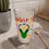 Thumbnail: SRabbit Shop Family 16oz Glass