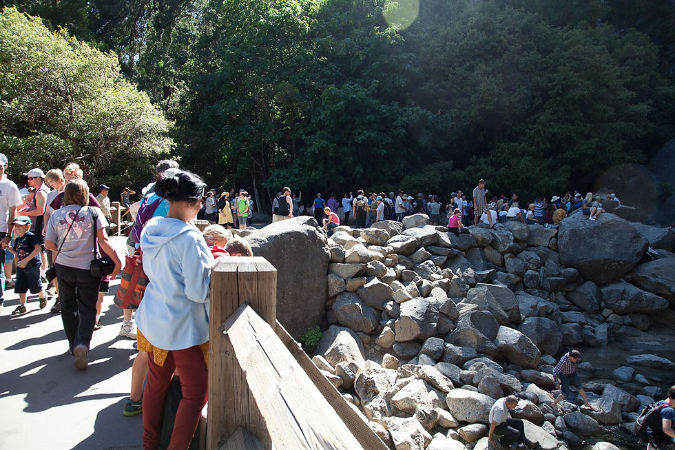 Lower Falls view point with many people