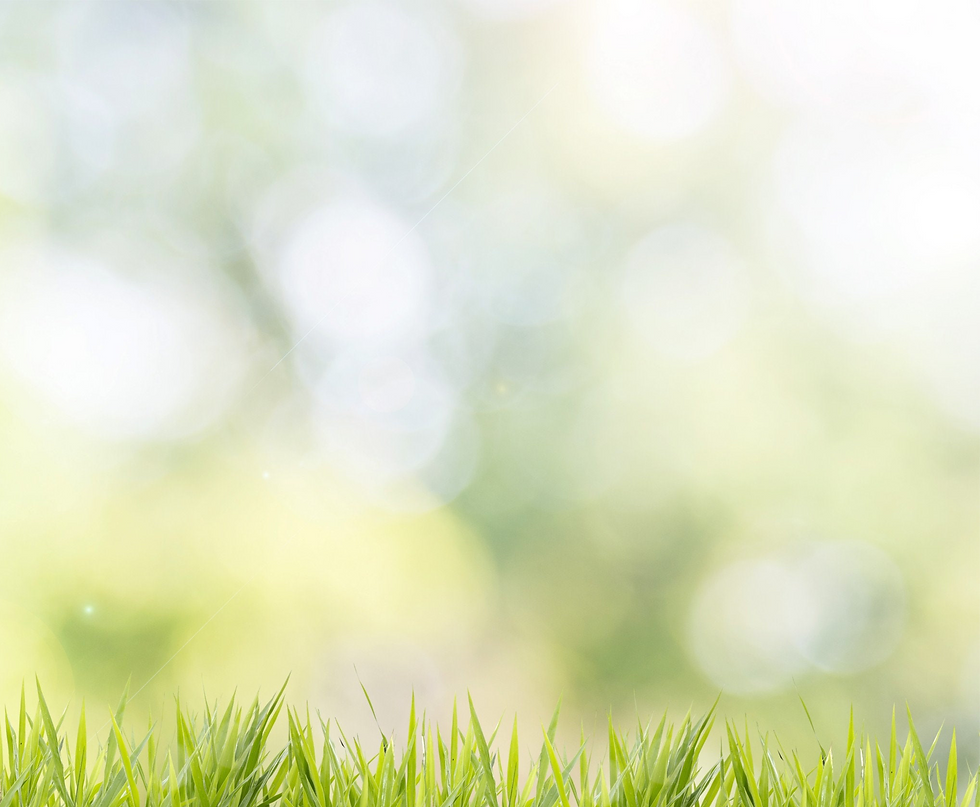 Grass_edited.png