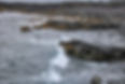 Islande
