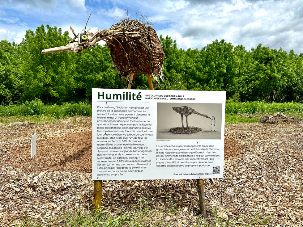 image00277