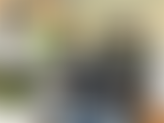 Shop Stylish Furniture for Your Elevated Home Look