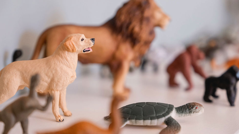 Χώρος παιγνιοθεραπείας με φιγούρες και θεραπευτικό υλικό