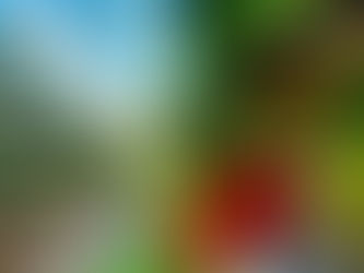 Connectivity Is Growing In West Sussex Fields