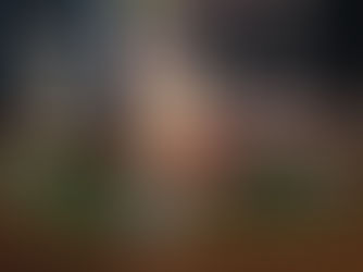 Homes Extra: Gifts from Nature