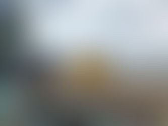 Brighton Seafront Venue Secures Alcohol Licence Extension