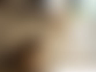 It's a Dog's Life: A Litany of Horrors