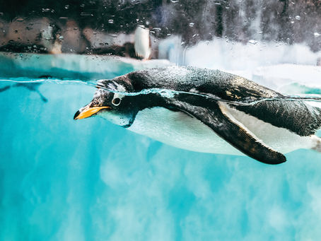 If You Ask Me: Brand Aversion