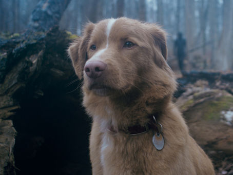 What to Watch in October 2025