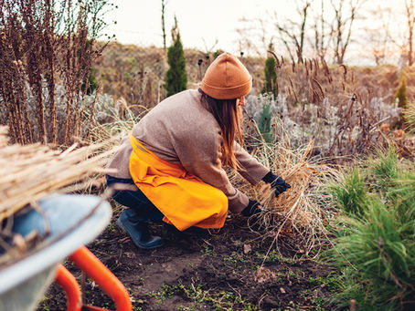 Blooming Times: Time to Tidy Up