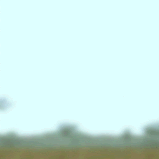 hello.gif