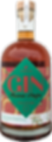 GIn-Assinie.png