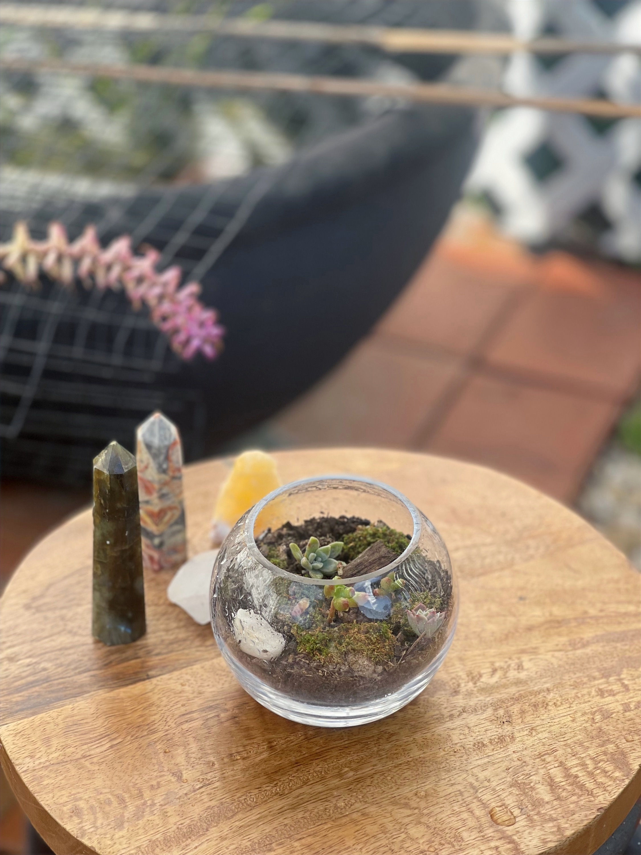 Terrarium